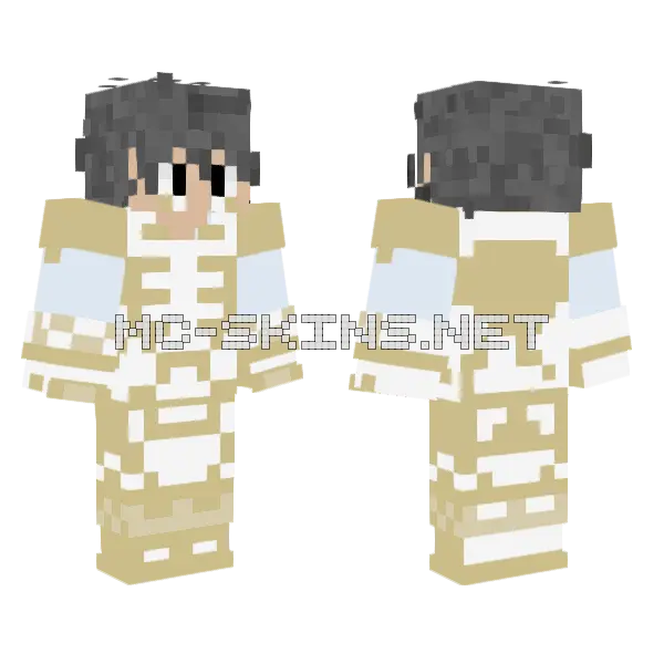 Mark Fall Guys Supreme Idol Minecraft skin, front and back
