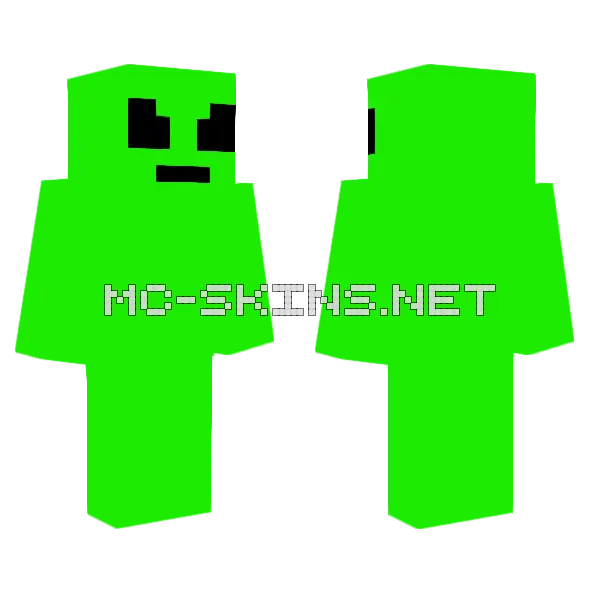 Marty Minecraft skin, front and back