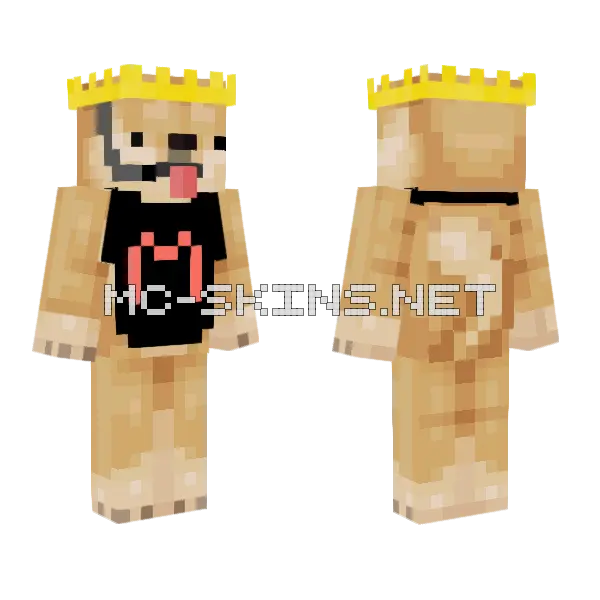 Mc Doge For Goopylokiifk Minecraft skin, front and back