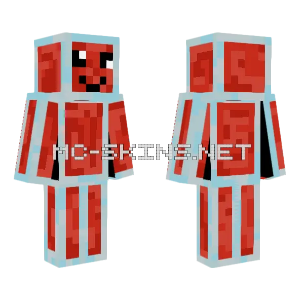Meat Potion Minecraft skin, front and back