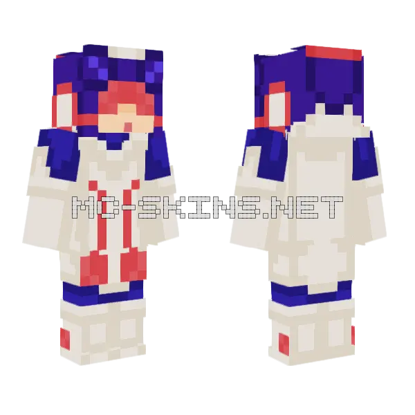 Meddy Mega Man Rockman EXE Minecraft skin, front and back