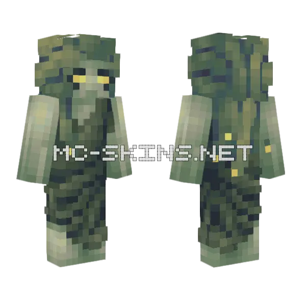 Meduza Minecraft skin, front and back