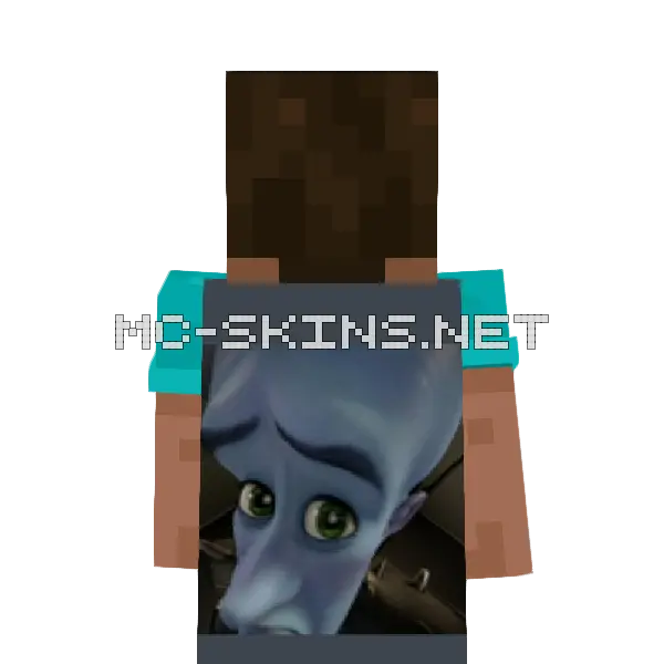 Megamind no bitches cape, outside and lining