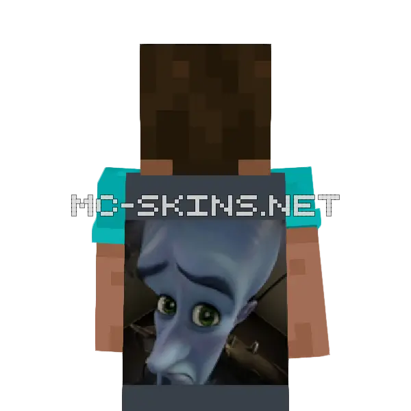 Megamind peeking cape, outside and lining