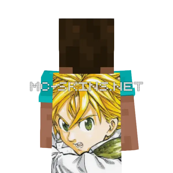 Meliodas cape, outside and lining