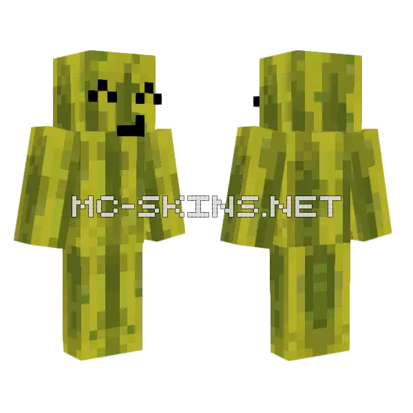 Melon Character Minecraft skin, front and back
