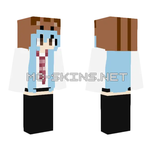 Meow2 Minecraft skin, front and back