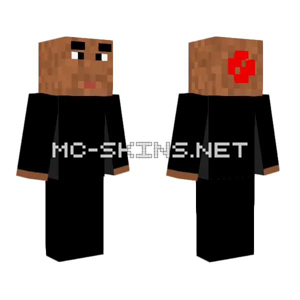 Metaman Minecraft skin, front and back