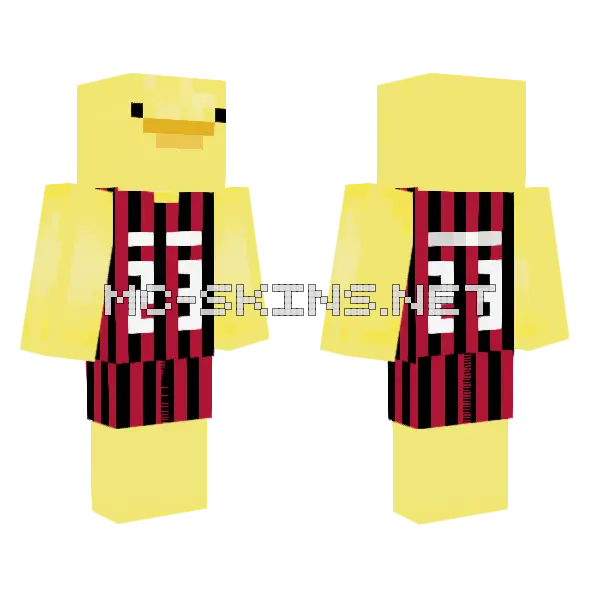 Michael Jordan Duck Minecraft skin, front and back