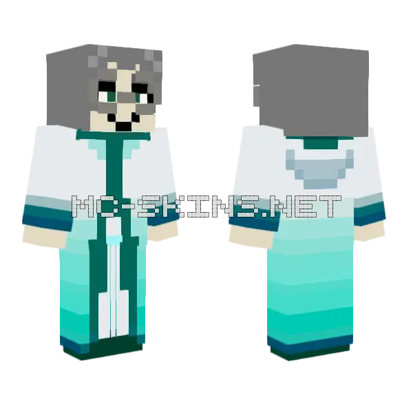 Miitopia Great Sage Minecraft skin, front and back