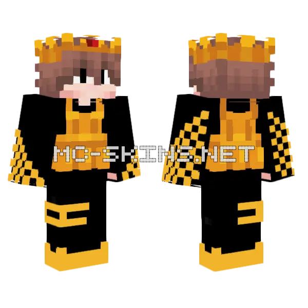 Mikeking9930 Minecraft skin, front and back