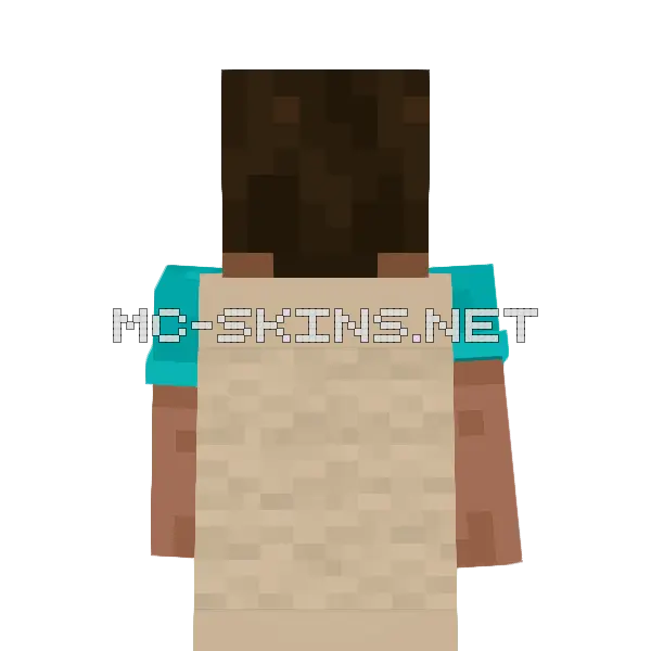 minecraft 26.4 update leak - The Default House cape, outside and lining