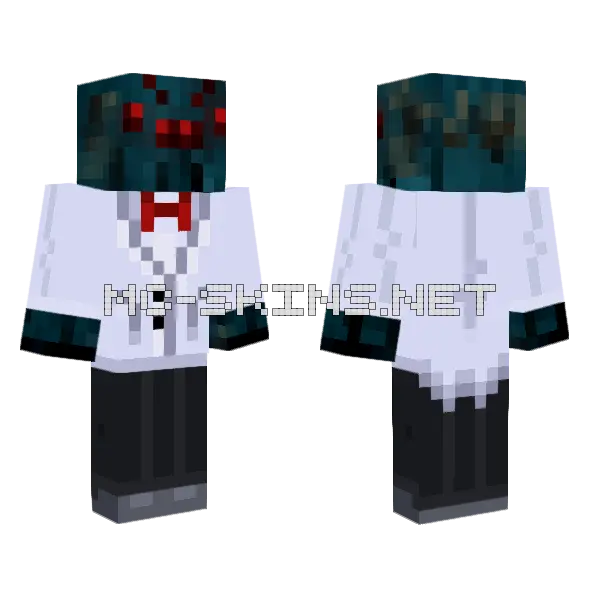 Minecraft PS3 Spider Skin Minecraft skin, front and back