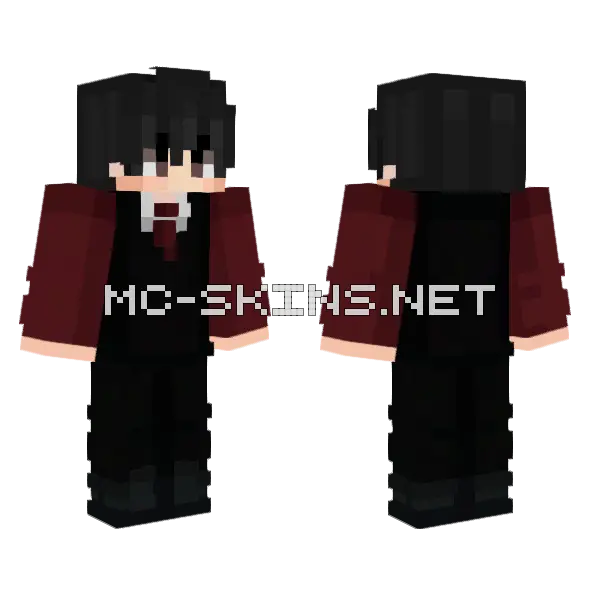 Minedreamzzz Minecraft skin, front and back