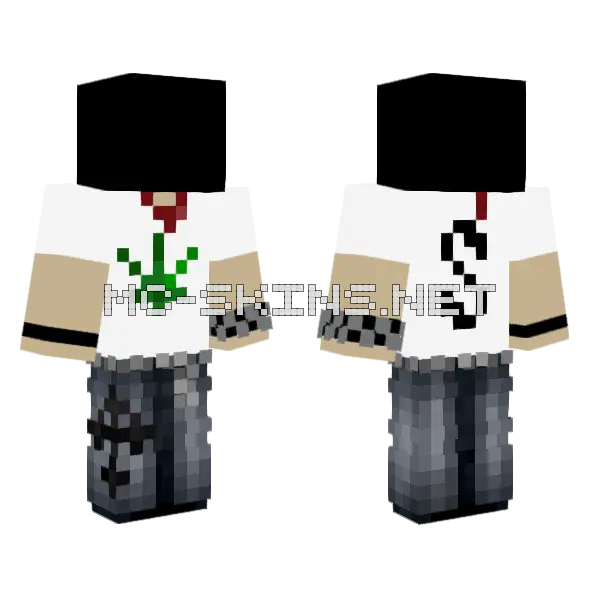 Missing Fummi Minecraft skin, front and back