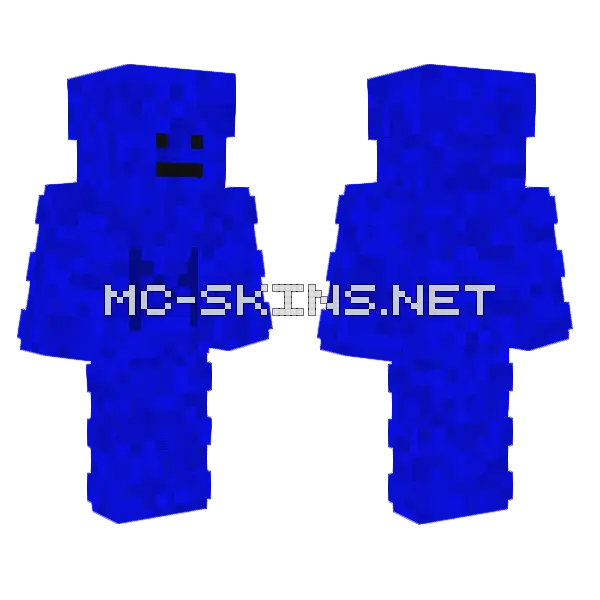 Mojahid Blue Minecraft skin, front and back