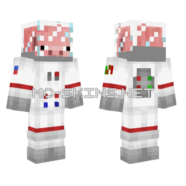 Moshi Minecraft skin, front and back