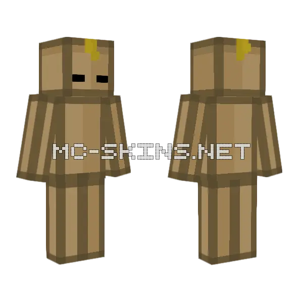 Mr Box Minecraft skin, front and back