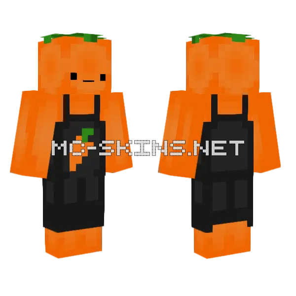 Mr. Food Minecraft skin, front and back