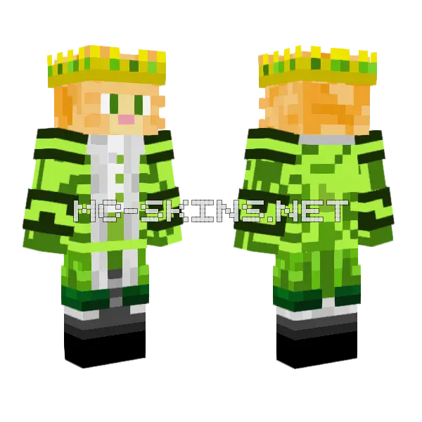 Mr Swiftcat Skin Minecraft skin, front and back