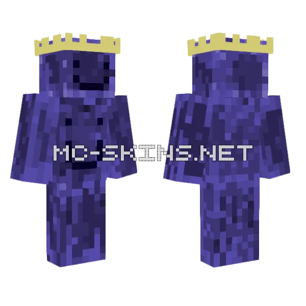 Narwhal Skin Minecraft skin, front and back