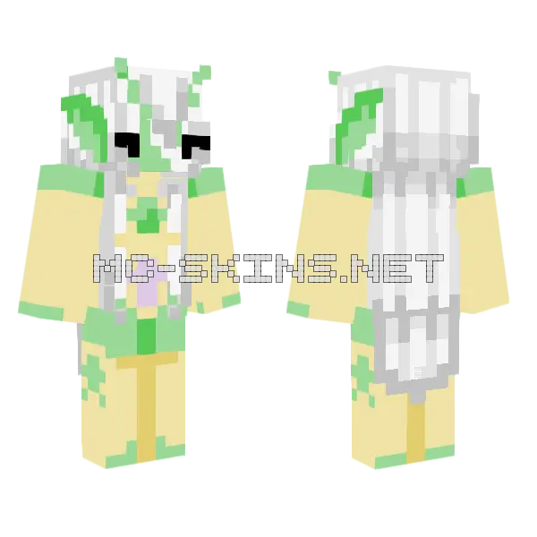 Navvi Minecraft skin, front and back