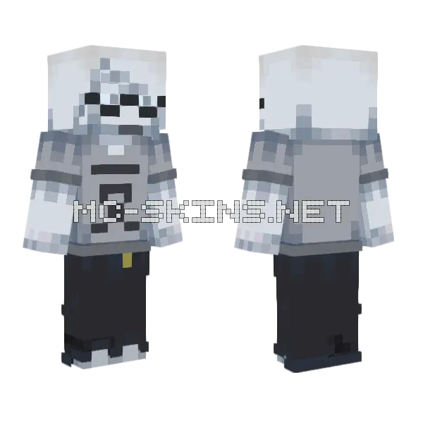 New Depth Cat Minecraft skin, front and back