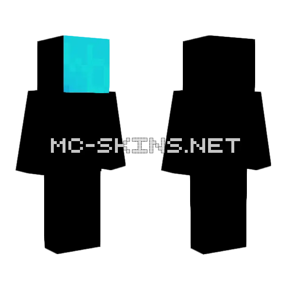 New PFP Minecraft skin, front and back