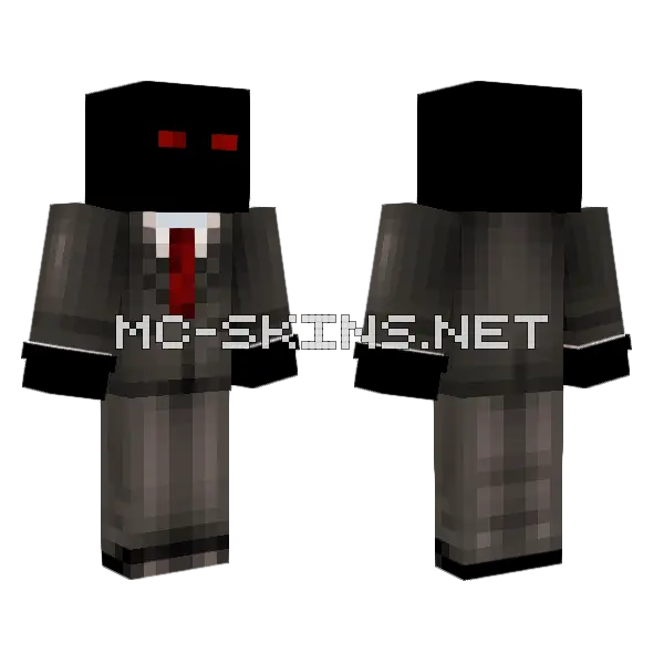 New Presidential Magdoreon Minecraft skin, front and back
