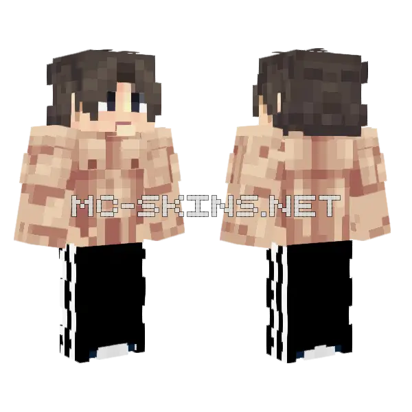 Newridrr11 Skin Minecraft skin, front and back