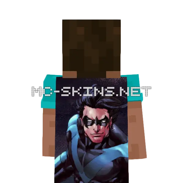 Nightwing cape, outside and lining