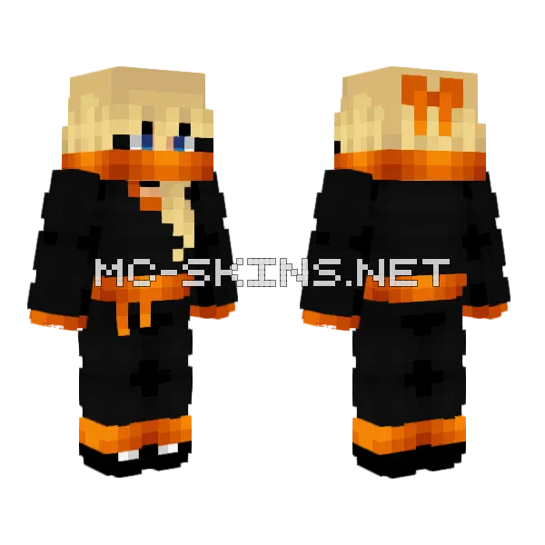 Ninja Girl Minecraft skin, front and back