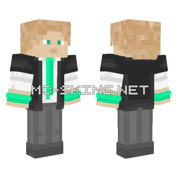 Nitoryu Fighter Minecraft skin, front and back
