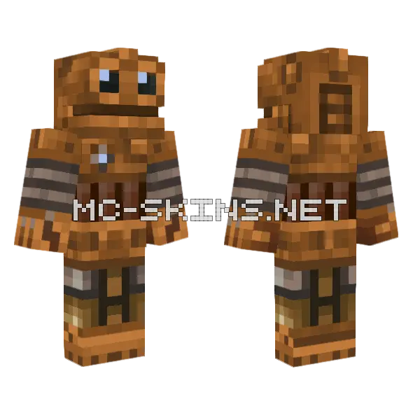 Njacnancanckaacac Skin Minecraft skin, front and back