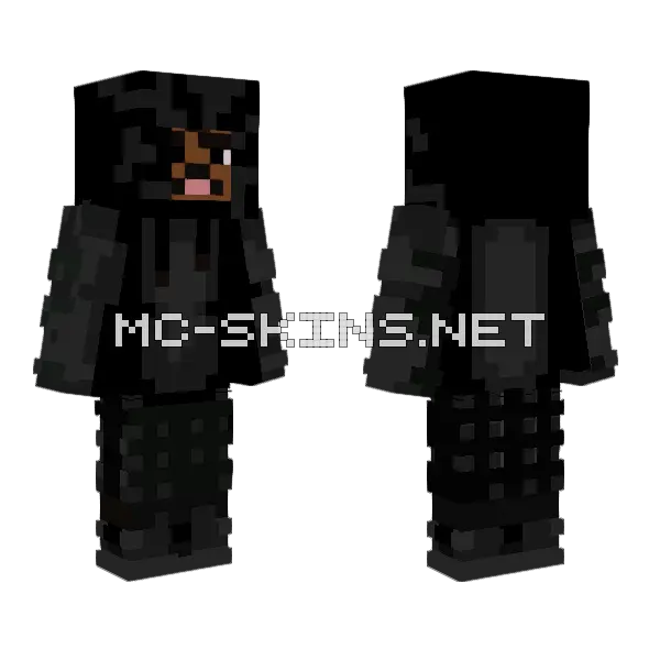 Not Minecraft skin, front and back