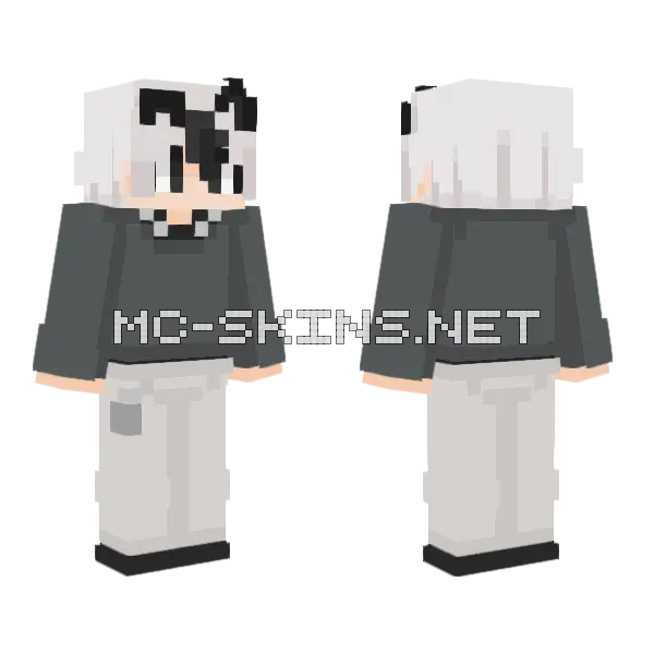 Not My OC Minecraft skin, front and back