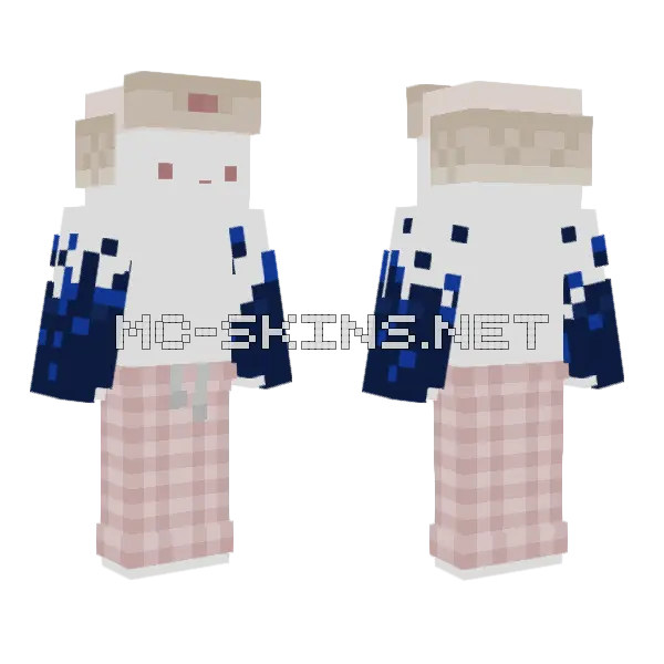 Noujj Minecraft skin, front and back