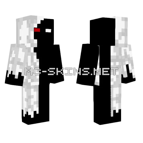 Null 303 Minecraft skin, front and back