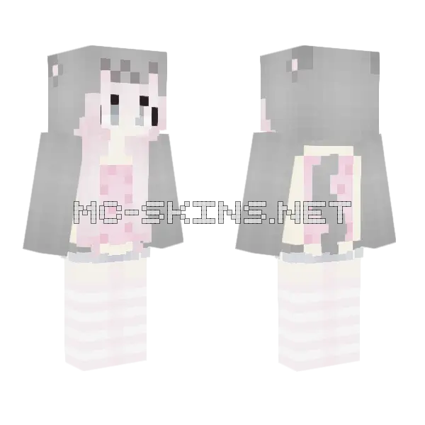 Nyan Cat Minecraft skin, front and back