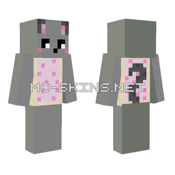 Nyan Cat Minecraft skin, front and back