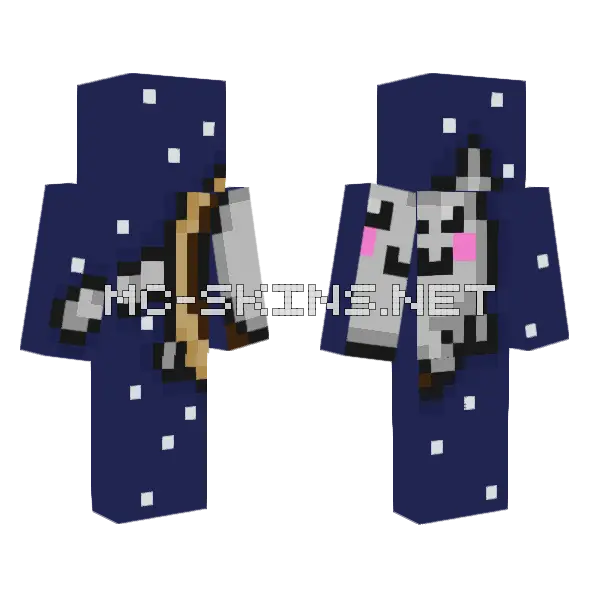 Nyan Cat In A Donut Minecraft skin, front and back
