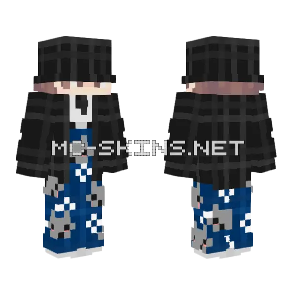 Nyan Cat Suit Minecraft skin, front and back