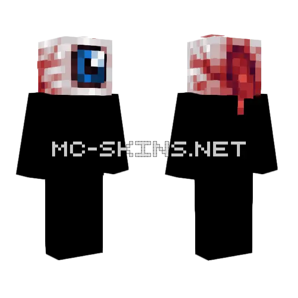 O Olho Minecraft skin, front and back