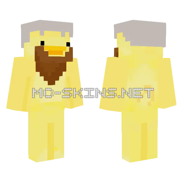 Old Duck Minecraft skin, front and back