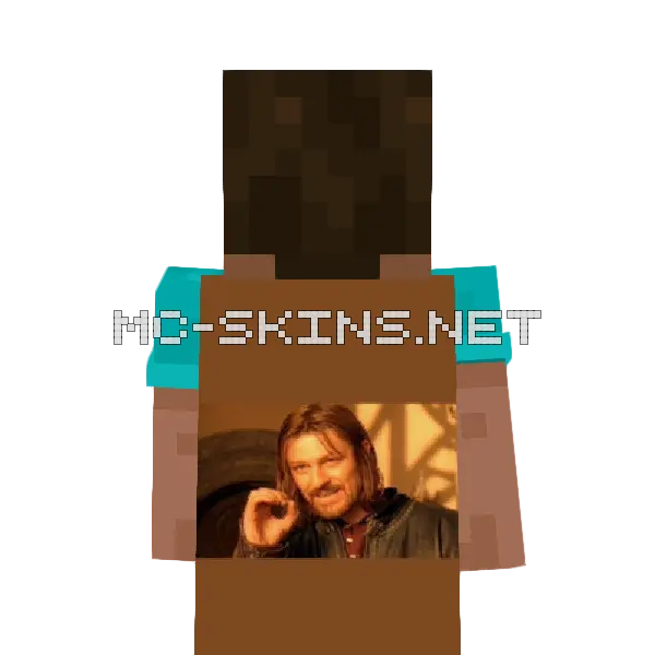 One Does Not Simply cape, outside and lining