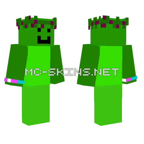 Op Green Guy Minecraft skin, front and back