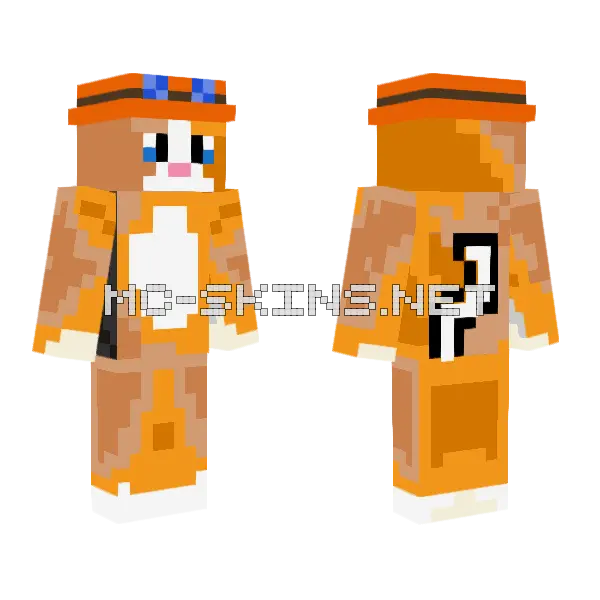 Orange Cat Hat Minecraft skin, front and back
