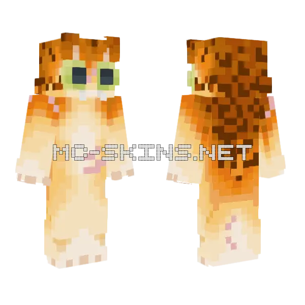 Orange Cat Skin Minecraft skin, front and back