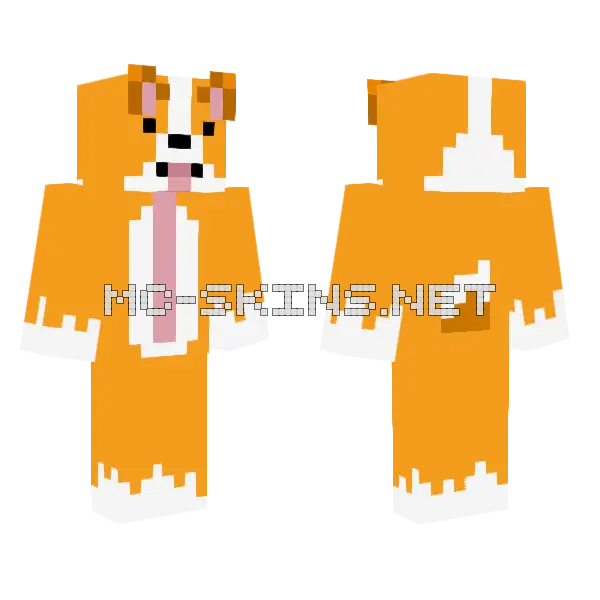 Orange Corgi Dog, front and back