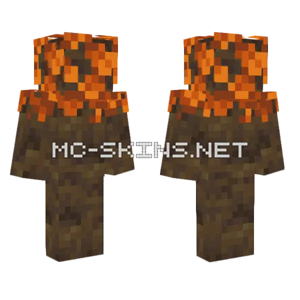 Orange Poplar Tree Minecraft skin, front and back